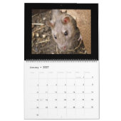 Wilde Ratten Kalender 2014 (Jan 2027)