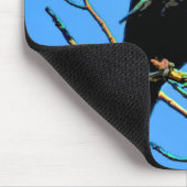 Wilde Raven en Branches Wildlife Foto Gift Muismat (Hoek)