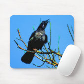 Wilde Raven en Branches Wildlife Foto Gift Muismat (Met muis)