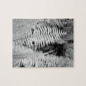 Wilde reuzenleerachtige varen, Florida, VS. Legpuzzel (Horizontaal)