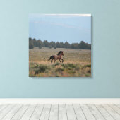 Wilde Roan uitvoeren Canvas Afdruk (Insitu (Houten vloer))