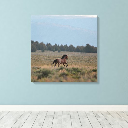 Wilde Roan uitvoeren Canvas Afdruk (Insitu (Houten vloer))