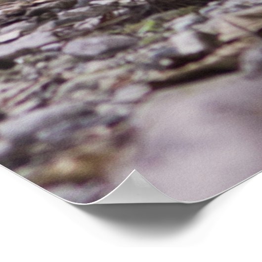 Wilde Robert Frost Quote Poster - Groot (Hoek)