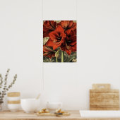 wilde rode amaryllisbloemen poster (Keuken)