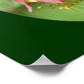 Wilde rode-Columbinestroem Poster (Hoek)