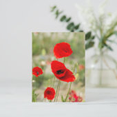 Wilde rode klaproos bloem briefkaart (Staand voorkant)