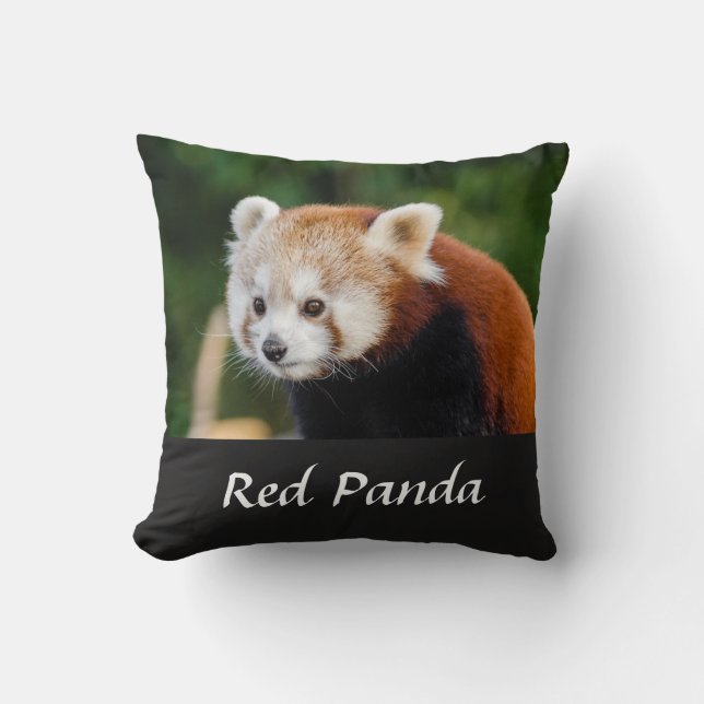 Wilde rode panda-natuurfoto kussen (Voorkant)