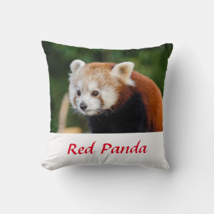 Wilde rode panda natuurfoto kussen