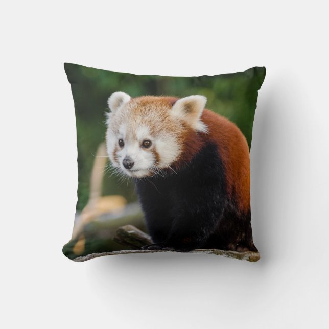 Wilde rode panda schattige foto kussen (Voorkant)