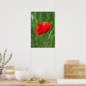 Wilde rode papaverbloem poster (Keuken)