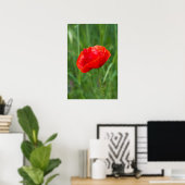 Wilde rode papaverbloem poster (Thuiskantoor)