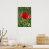 Wilde rode papaverbloem poster (Keuken)