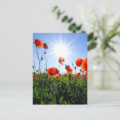 Wilde rode papavers bloemen briefkaart (Staand voorkant)