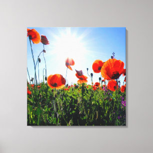 Wilde rode papavers bloemen canvas afdruk