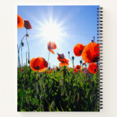 Wilde rode papavers bloemen notitieboek (Achterkant)