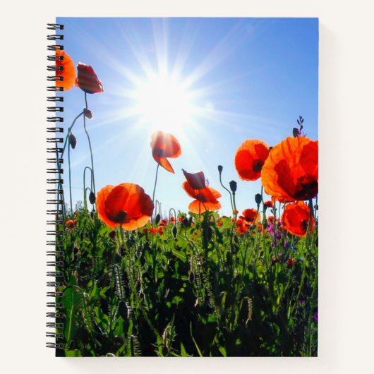Wilde rode papavers bloemen notitieboek (Voorkant)
