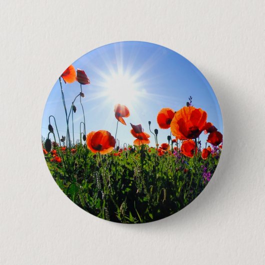 Wilde rode papavers bloemen ronde button 5,7 cm (Voorkant)