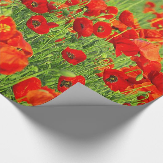 Wilde rode papavers cadeaupapier (Hoek)