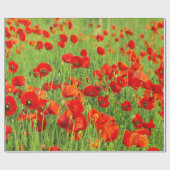 Wilde rode papavers cadeaupapier (Vlak)