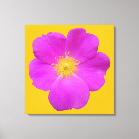 Wilde Roos 2 Canvas Afdruk (Voorkant)