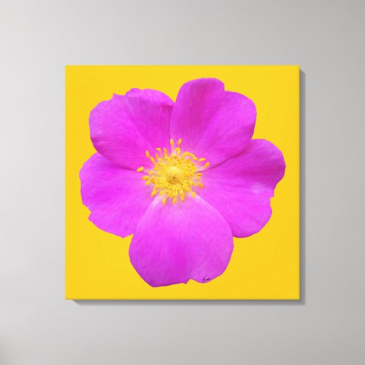 Wilde Roos 2 Canvas Afdruk (Voorkant)