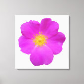 Wilde Roos 2 Canvas Afdruk (Voorkant)