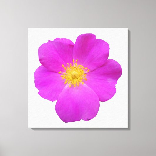 Wilde Roos 2 Canvas Afdruk (Voorkant)