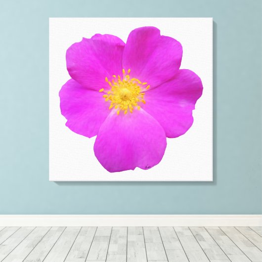 Wilde Roos 2 Canvas Afdruk (Insitu (Houten vloer))