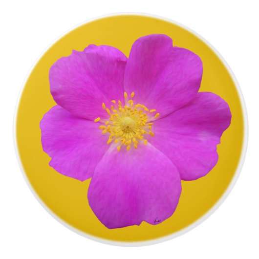 Wilde Roos 2 Keramische Knop (Voorkant)