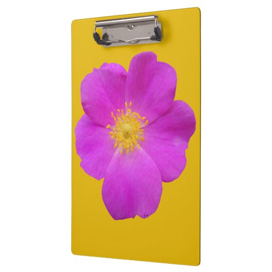 Wilde Roos 2 Klembord (Links)