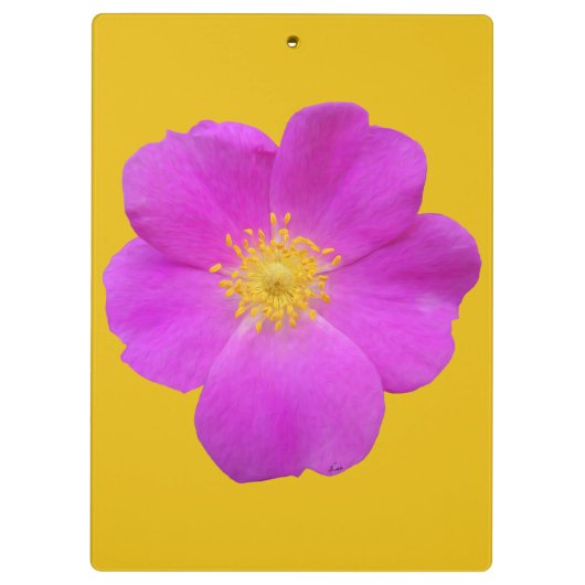 Wilde Roos 2 Klembord (Achterkant)