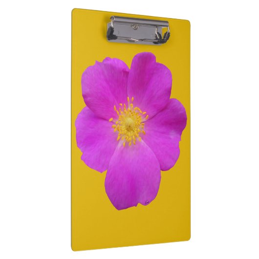 Wilde Roos 2 Klembord (Rechts)