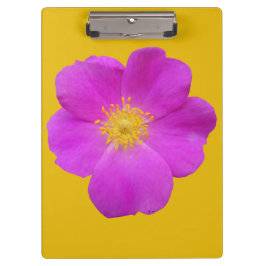 Wilde Roos 2 Klembord