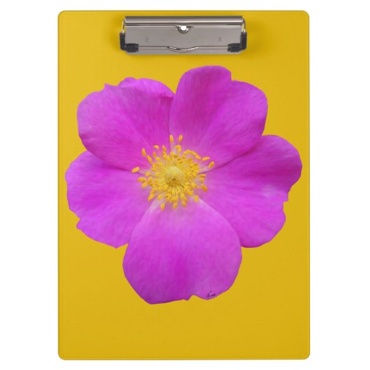 Wilde Roos 2 Klembord (Voorkant)