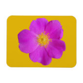 Wilde Roos 2 Magneet (Horizontaal)