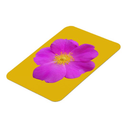 Wilde Roos 2 Magneet (Linkerzijde)