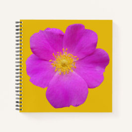 Wilde Roos 2 Notitieboek