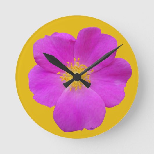 Wilde Roos 2 Ronde Klok (Voorkant)