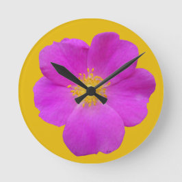 Wilde Roos 2 Ronde Klok