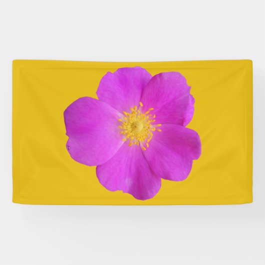 Wilde Roos 2 Spandoek (Horizontaal)