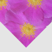 Wilde Roos 2 Tissuepapier (Detail)