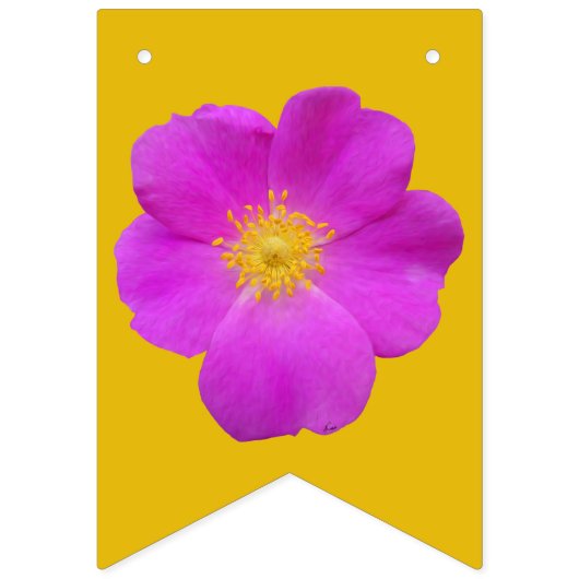 Wilde Roos 2 Vlaggetjes (Tweede vlag)