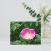 Wilde roos bloem briefkaart (Staand voorkant)