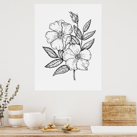Wilde Roos Bloom Tekening Poster (Keuken)