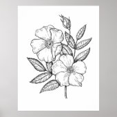 Wilde Roos Bloom Tekening Poster (Voorkant)