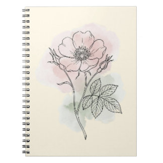Wilde Roos Botanische Aquarel Schets Spiraal Notitieboek
