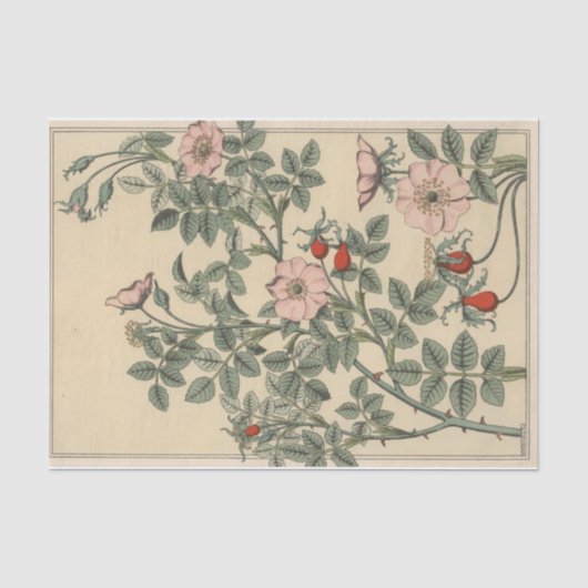 Wilde Roos, Botanische Serie van Eugene Grasset Tissuepapier (Voorkant)