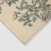 Wilde Roos, Botanische Serie van Eugene Grasset Tissuepapier (Detail)