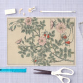 Wilde Roos, Botanische Serie van Eugene Grasset Tissuepapier (Craft)