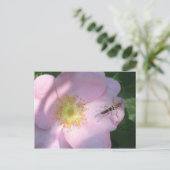 Wilde Roos Briefkaart (Staand voorkant)
